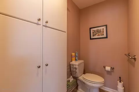 306 W Spring Meadows Ln, Dewitt, MI 48820 photo 41