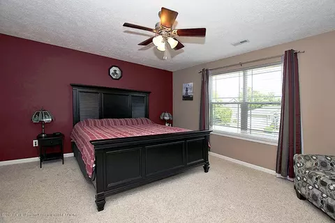 13826 Myrtle Dr, Dewitt, MI 48820 photo 11