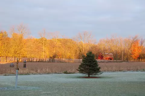 12658 Watson Rd, Bath, MI 48808 photo 65