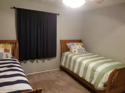 310 Iris Ave, Lansing, MI 48917 photo 44