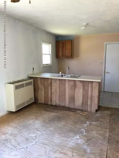 919 Bates St, Lansing, MI 48906 photo 6