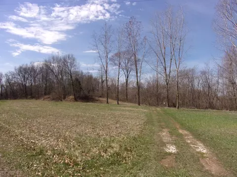 881 E Braden Rd, Perry, MI 48872 photo 11