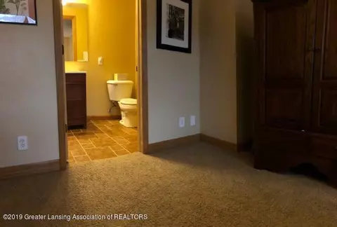 4350 Red Maple Dr, Williamston, MI 48895 photo 35