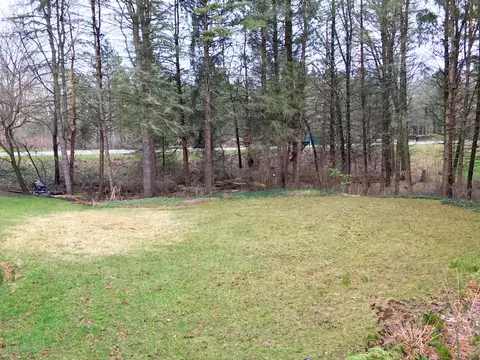 12280 Beardslee Rd, Perry, MI 48872 photo 36