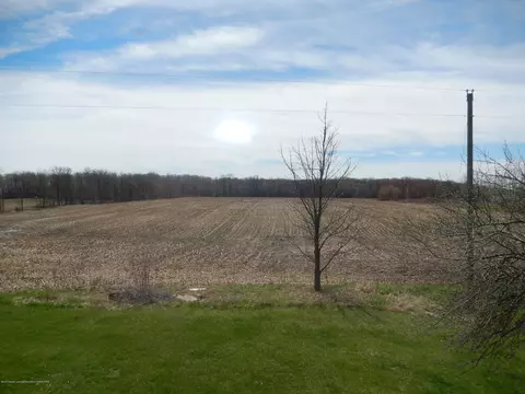 11693 W Chadwick Rd, Eagle, MI 48822 photo 24