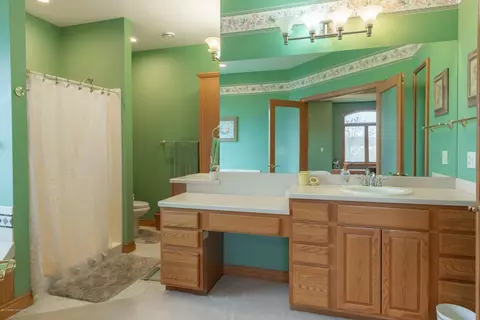 11340 W Howe Rd, Eagle, MI 48822 photo 42