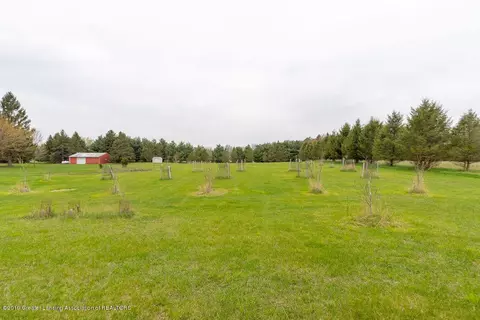 8220 W Howe Rd, Eagle, MI 48822 photo 37