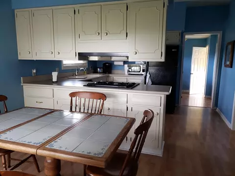 10960 W Cutler Rd, Eagle, MI 48822 photo 7