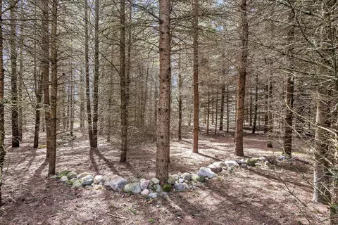 5877 Harper Rd, Holt, MI 48842 photo 26