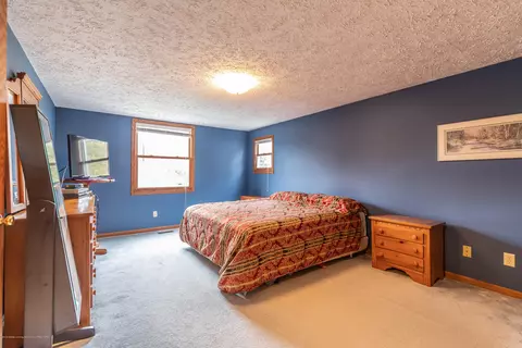 3948 White Pine Dr, Dewitt, MI 48820 photo 27