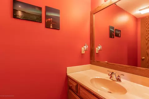 3948 White Pine Dr, Dewitt, MI 48820 photo 24