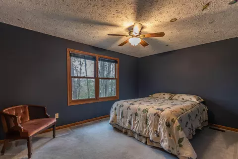 3948 White Pine Dr, Dewitt, MI 48820 photo 30