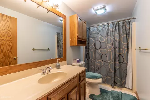 3948 White Pine Dr, Dewitt, MI 48820 photo 25