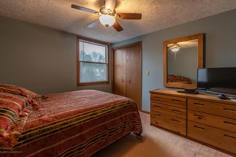 3948 White Pine Dr, Dewitt, MI 48820 photo 26