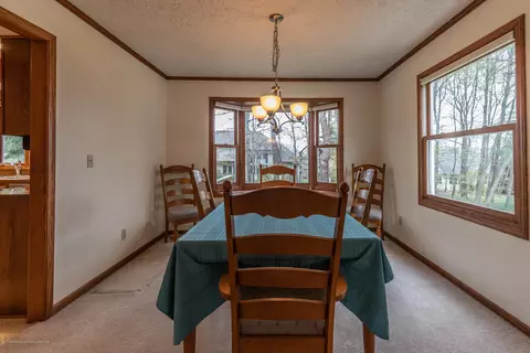3948 White Pine Dr, Dewitt, MI 48820 photo 9