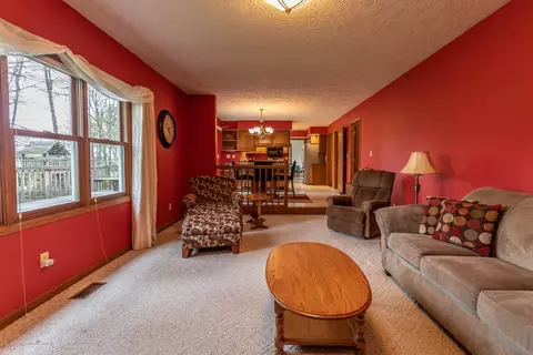 3948 White Pine Dr, Dewitt, MI 48820 photo 14