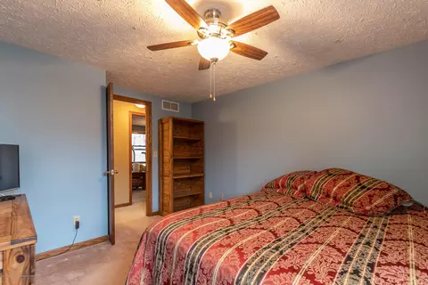 3948 White Pine Dr, Dewitt, MI 48820 photo 28