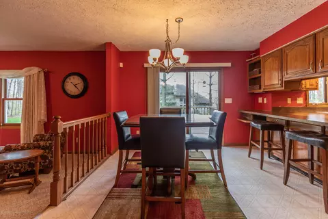 3948 White Pine Dr, Dewitt, MI 48820 photo 11