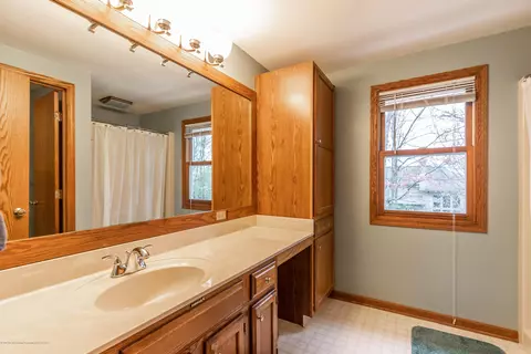3948 White Pine Dr, Dewitt, MI 48820 photo 29