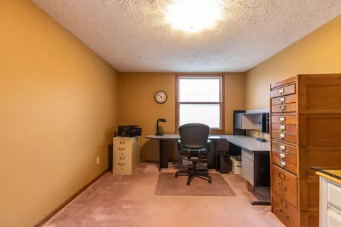 3948 White Pine Dr, Dewitt, MI 48820 photo 32