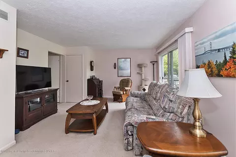 2032 Blue Lac Dr, Haslett, MI 48840 photo 8