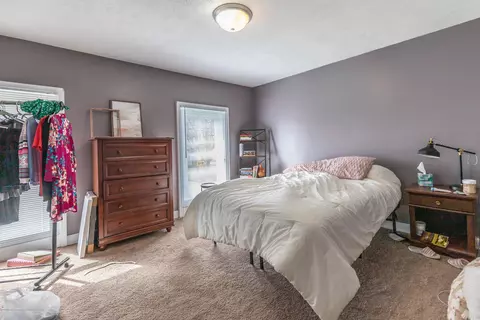 314 N Bridge St, Dewitt, MI 48820 photo 25