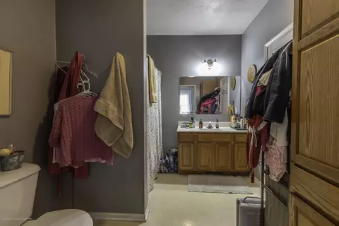 314 N Bridge St, Dewitt, MI 48820 photo 13