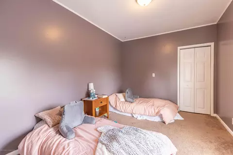 314 N Bridge St, Dewitt, MI 48820 photo 28