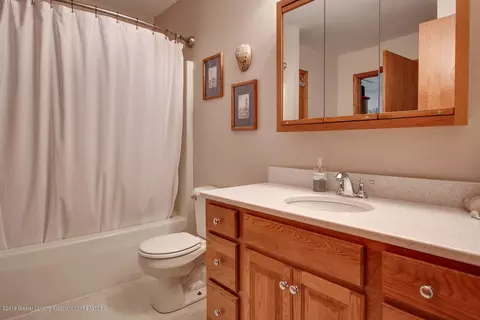 10777 W Cutler Rd, Eagle, MI 48822 photo 37