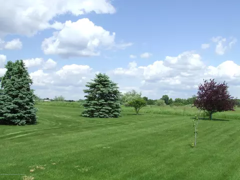 14575 S Jones Rd, Eagle, MI 48822 photo 23