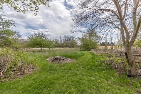 8344 E M 21, Ovid, MI 48866 photo 39