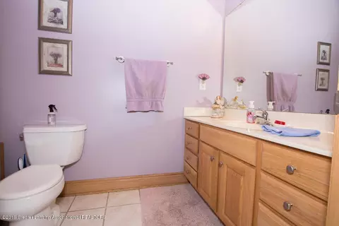 13185 S Wright Rd, Eagle, MI 48822 photo 39