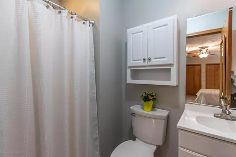 809 Birchwood, Dewitt, MI 48820 photo 16