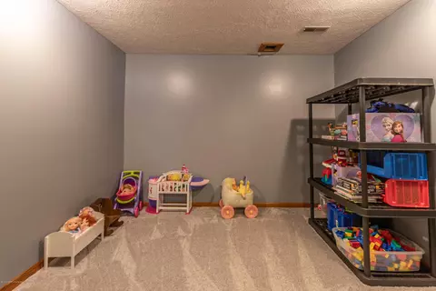 809 Birchwood, Dewitt, MI 48820 photo 27