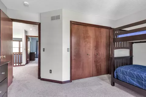 504 W Dill Dr, Dewitt, MI 48820 photo 37