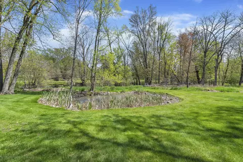 504 W Dill Dr, Dewitt, MI 48820 photo 50
