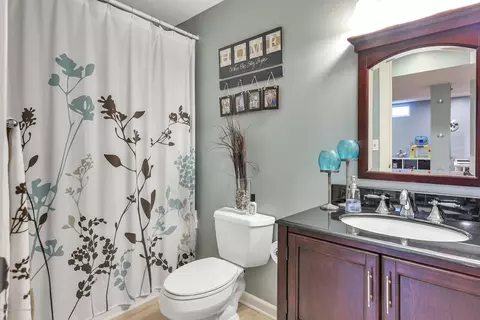 2209 Cedar Bnd, Holt, MI 48842 photo 39