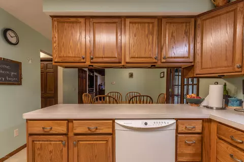 307 Westbrook Dr, Dewitt, MI 48820 photo 12