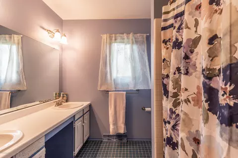 307 Westbrook Dr, Dewitt, MI 48820 photo 30