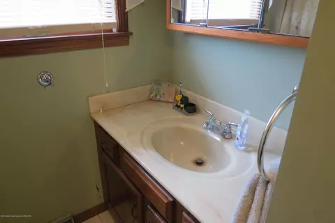 8657 E Maple Rapids Rd, Elsie, MI 48831 photo 22