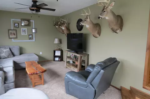 8657 E Maple Rapids Rd, Elsie, MI 48831 photo 12