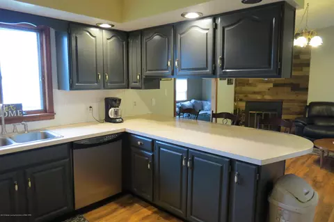 8657 E Maple Rapids Rd, Elsie, MI 48831 photo 5