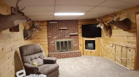 7642 Loomis Rd, Dewitt, MI 48820 photo 19