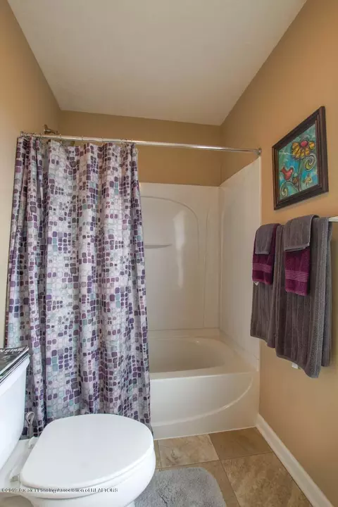 12875 Warm Creek Dr, Dewitt, MI 48820 photo 20