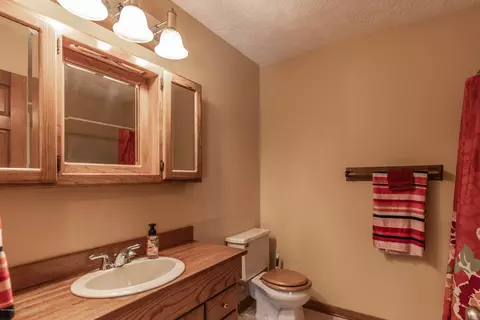 13384 Blackwood Dr, Dewitt, MI 48820 photo 29