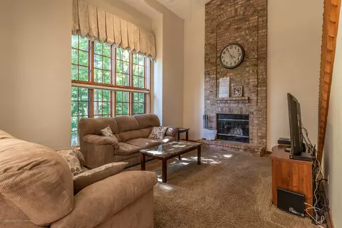 13384 Blackwood Dr, Dewitt, MI 48820 photo 7