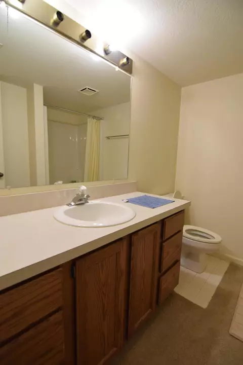 1208 Brookside Dr, Lansing, MI 48917 photo 30