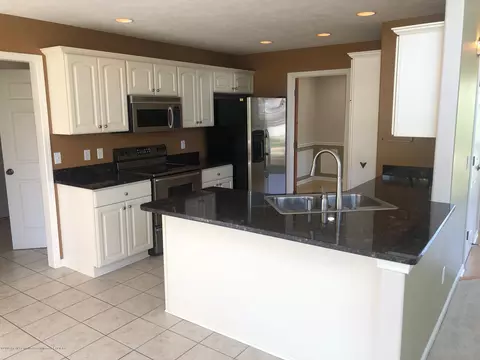 1117 Cobblestone Ct, Williamston, MI 48895 photo 15