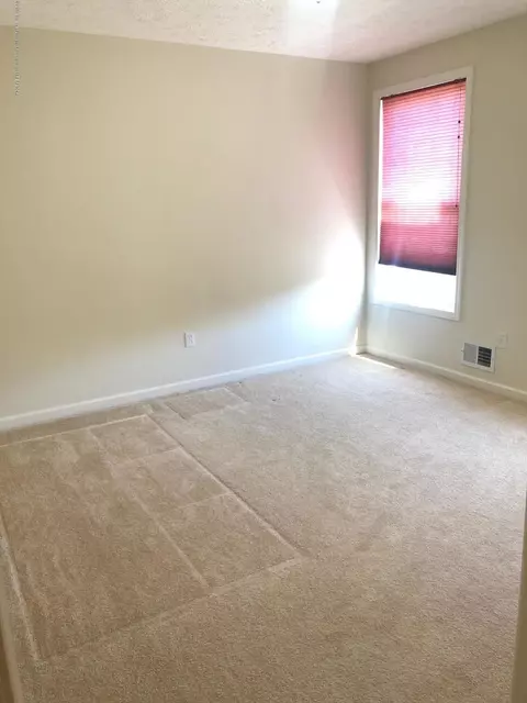 1117 Cobblestone Ct, Williamston, MI 48895 photo 38