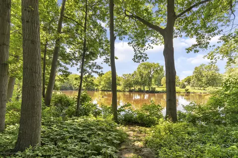 6645 Lansdown Dr, Dimondale, MI 48821 photo 19